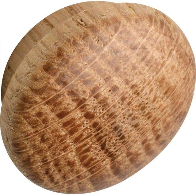 Alles im Griff Holzabdeckkappe aus Eiche Roh, Durchmesser: 19 mm, Zapfendurchmesser: 15 mm, Zapfenlänge: 4 mm - Bild 1