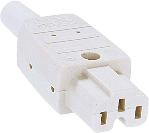 Bachmann Heißgeräte-Steckverbinder Socket in Grau - Bild 1
