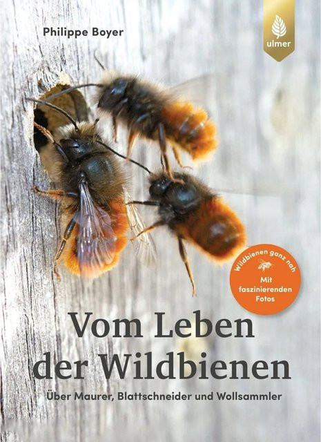Vom Leben der Wildbienen von Philippe Boyer, Sachbuch - Bild 1