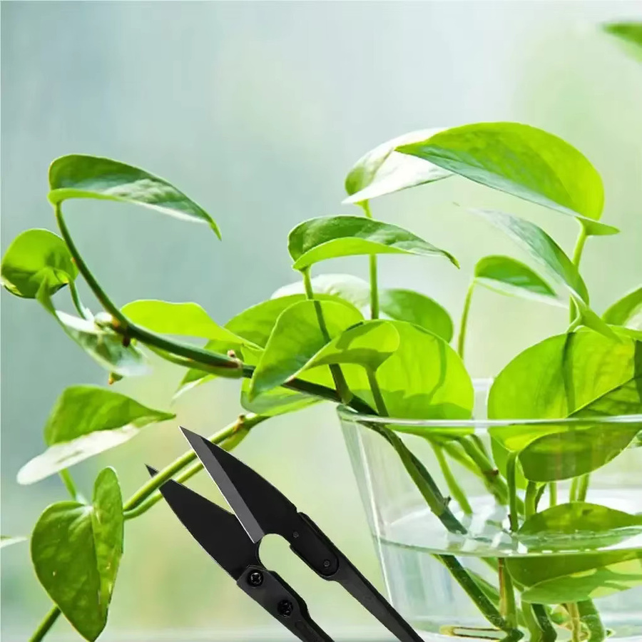 3er-Set Multifunktionale Mini-Gartenschere aus geschmiedetem Stahl in Schwarz für Bonsai, Blumen und Pflanzenpflege - Bild 3