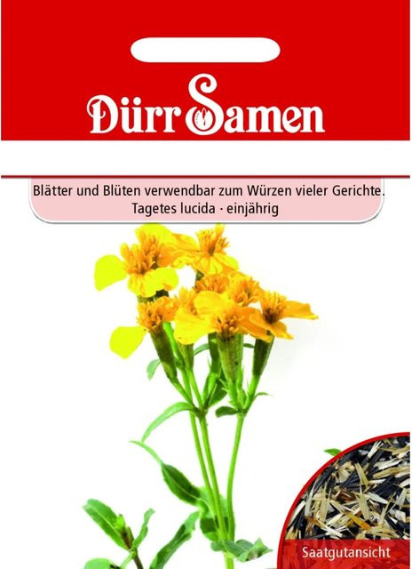 Dürr Samen Würz-Tagetes Saatgut - Bild 1