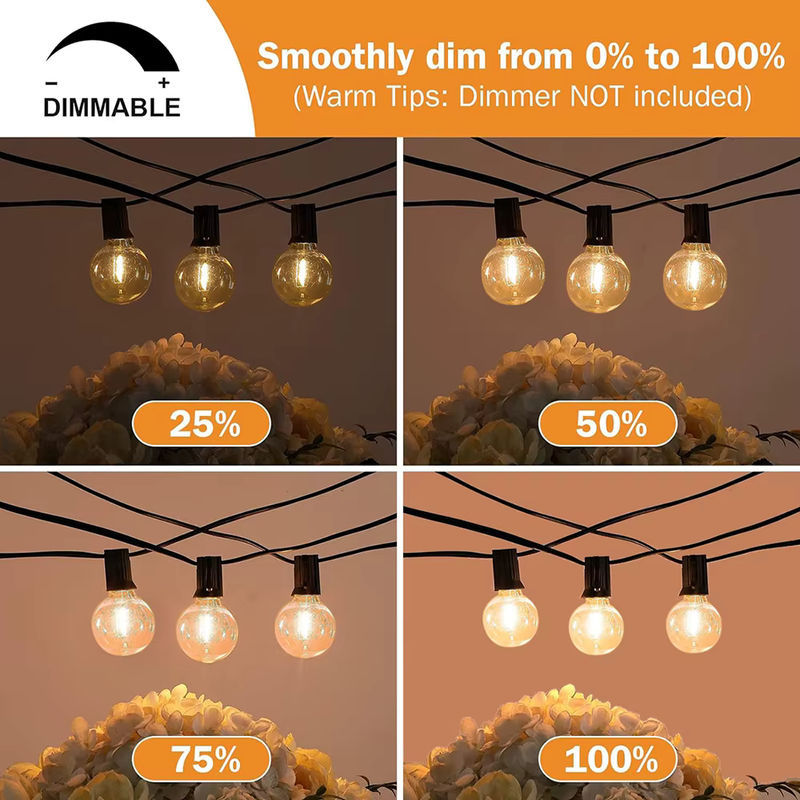 Topdii G40 LED Globe Lichterkette, dimmbar, warmweiß, transparent, für Garten, Terrasse und Outdoor-Dekoration - Bild 3