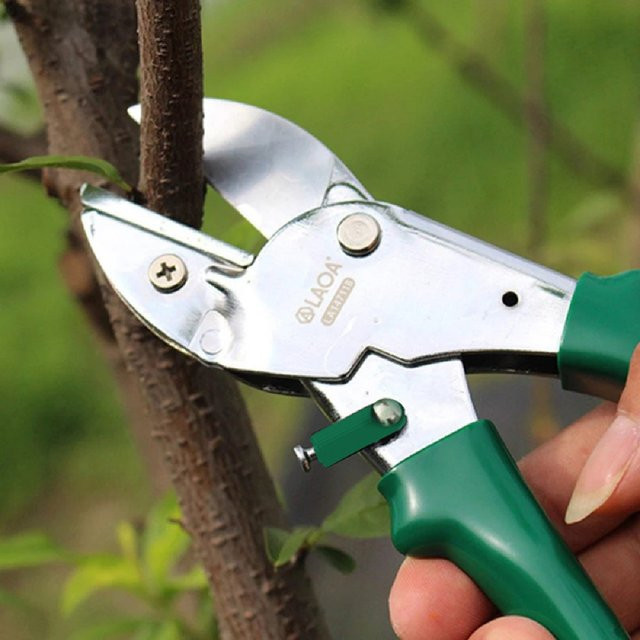 LAOA 8-Zoll Gartenschere mit SK5-Klinge und grünem PVC-Griff für einen Schnittbereich von 15-20mm - Bild 1