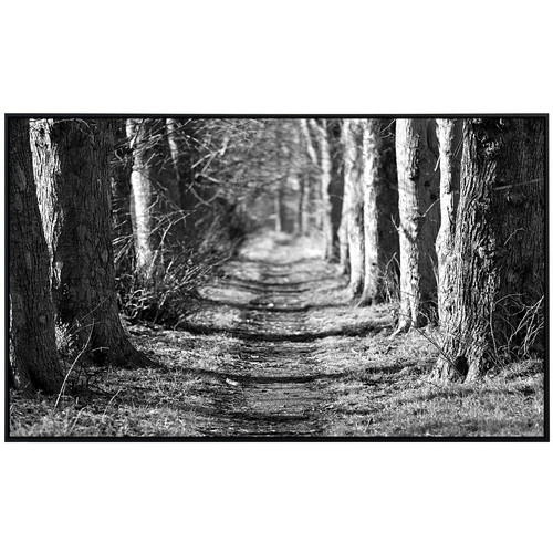 papermoon Infrarotheizung EcoHeat Waldweg Schwarz Weiss mit Matt-Effekt und App-Steuerung - Bild 2