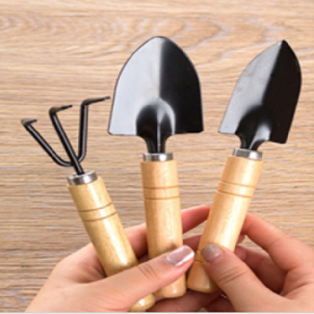 3-teiliges Premium-Gartenwerkzeug-Set in Schwarz für den Anbau von Gemüse, Blumen und Sukkulenten inklusive Schaufel, Rechen und Spaten - Bild 1