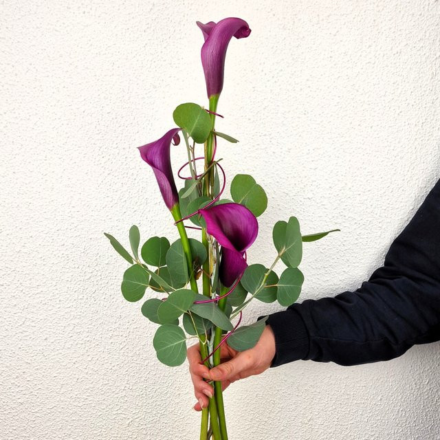 Calla de luxe Arrangement Calla Eucalyptus Purple Mother's Day - Bild 1