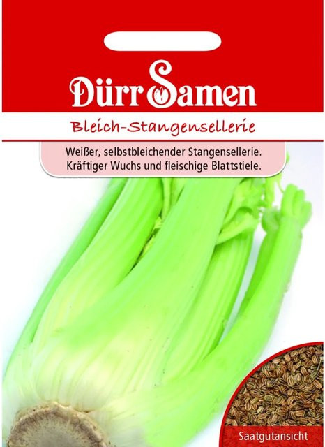 Dürr Bleich-Stangensellerie Saatgut 155 g - Bild 1