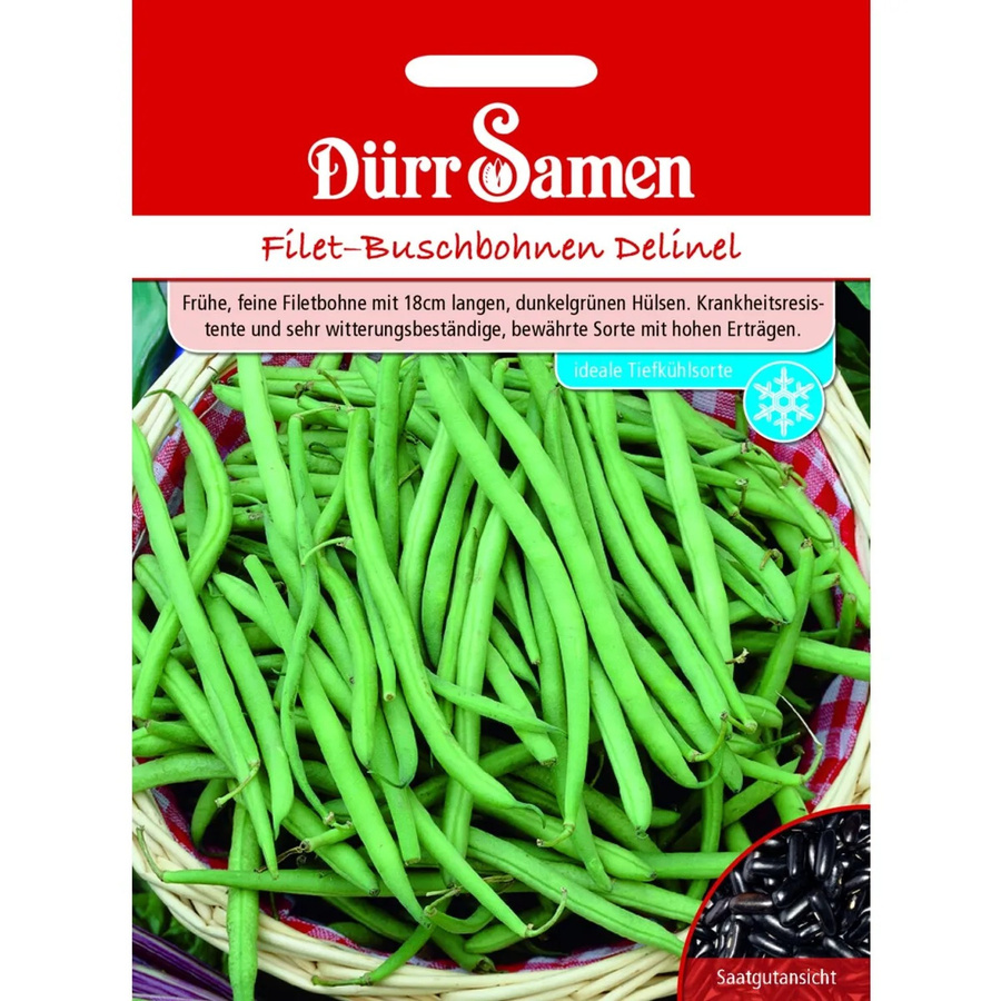 Dürr Delinel Buschbohnen Saatgut - Bild 2