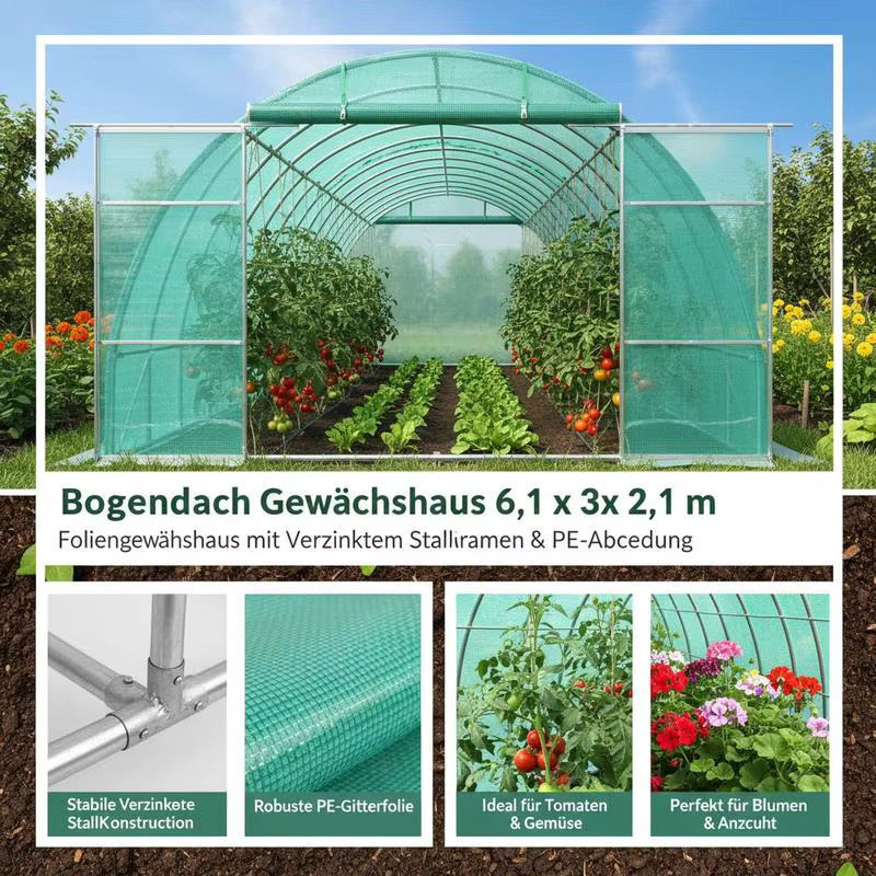 Bodendach-Gewächshaus mit Bogendach und PE-Abdeckung, verzinkter Stahlrahmen, B/T/H: 6,1 x 3 x 2,1 m - Bild 4
