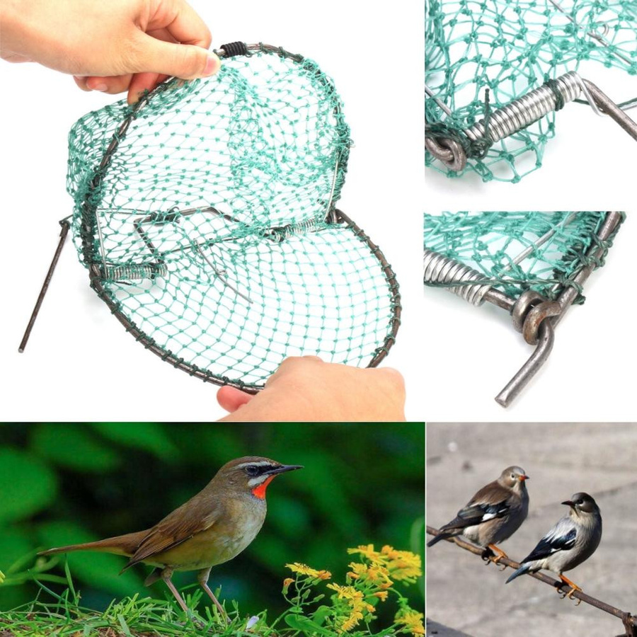 Humanes Fangvogelnetz zur Schädlingsbekämpfung für Spatzen, Tauben, Wachteln und Vögel - Bild 2