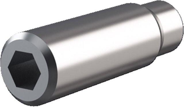 Rittal Anschlussbolzen SV 9640.370 in Silber für Sammelschienen Maxi-PLS 1600 und Maxi-PLS 2000 - Bild 1