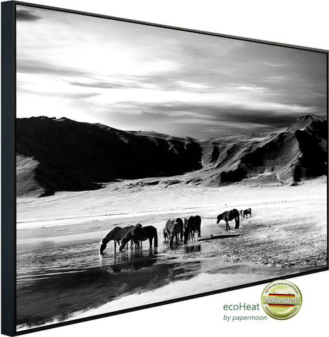 papermoon EcoHeat Infrarotheizung Landschaft Schwarz Weiss mit Matt-Effekt und App-Steuerung - Bild 1