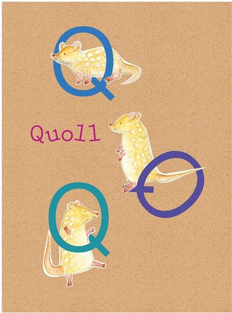 Komar Wandbild ABC Animal Q Paper Poster Multicolor B: 40 cm, H: 50 cm - Bild 1