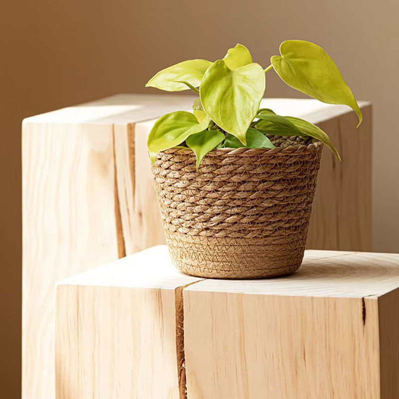 Aihogard Rattan-Blumentopf in Braun, handgefertigter Weidenkorb als Pflanzkorb für den Tisch, rund und rustikal, B/T/H: 15,5 x 11,0 x 2,0 cm - Bild 4