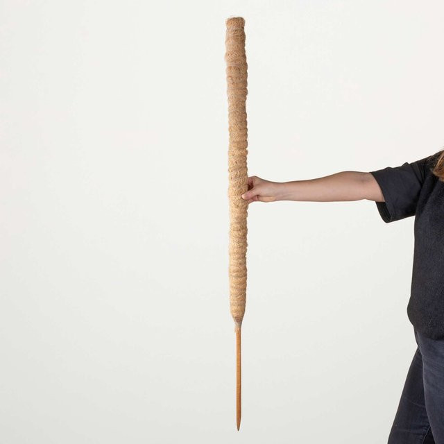 BLUME2000 Kokos-Pflanzstab für Rankpflanzen in Braun und Gelb, Höhe: 116,5 cm - Bild 1