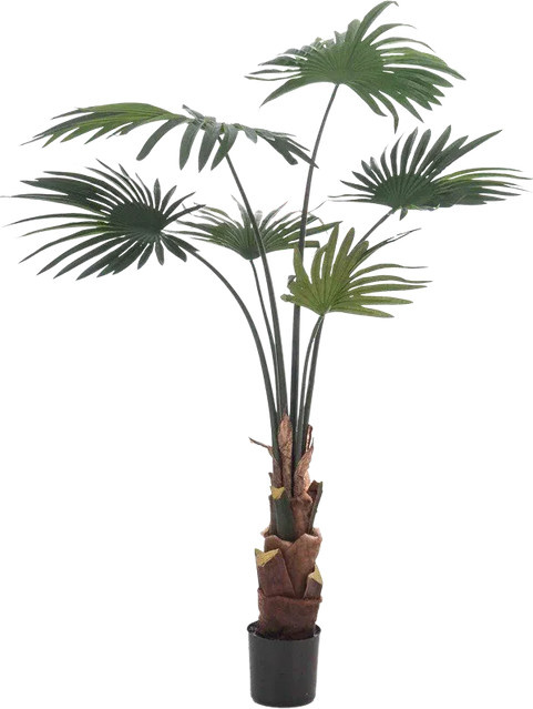Künstliche Livistona Palme von Aplanta, Höhe: 110 cm - Bild 1