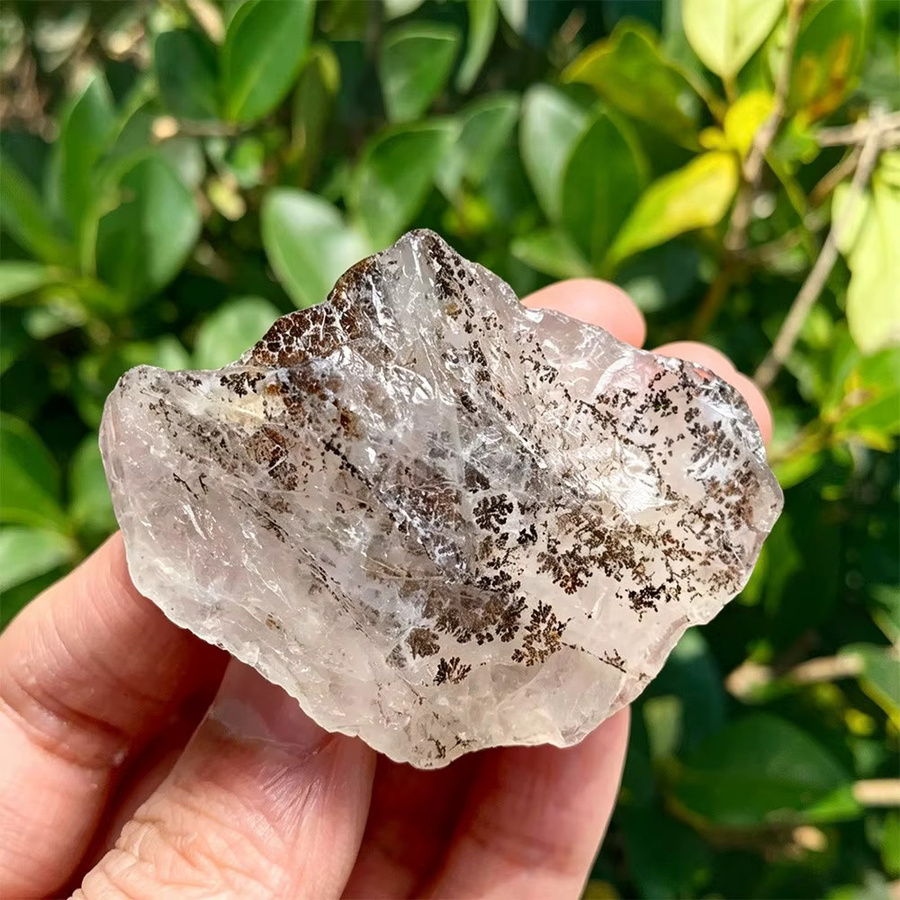 CrystalHola Natürlicher Donghai Dendritischer Quarz Kristallbaum aus Rohstein zur Dekoration - Bild 3