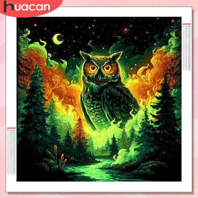 HUACAN Diamant-Mosaik Set Eulen-Tiermalerei 5D Kunsthandwerk in Multicolour, Durchmesser: 20 cm - Bild 1