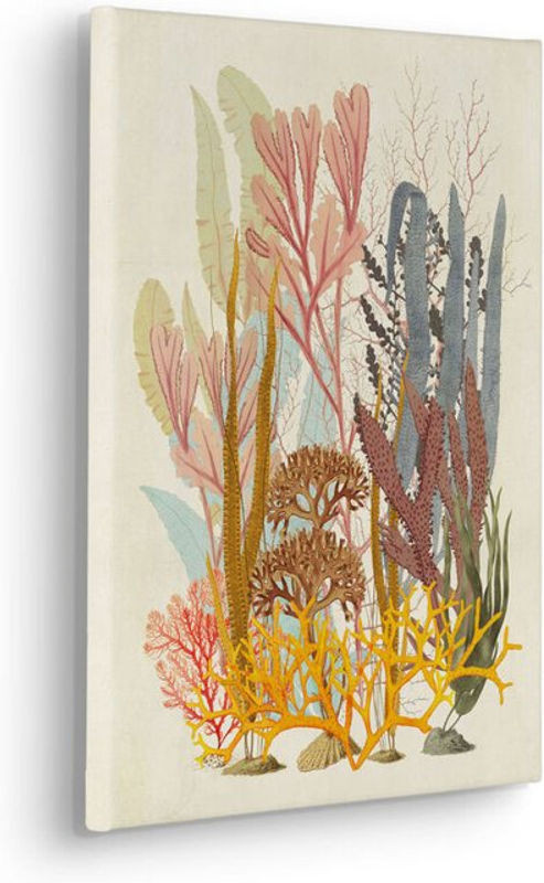 Komar Canvasbild Coral Aqua Maritim - Leinwand in Querformat - B: 40 cm, H: 40 cm, mehrfarbig - Bild 1