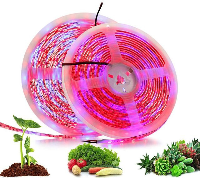 TOMTOP JMS LED Pflanzenwachstum Lichtleiste 5 Meter mit 60 LEDs pro Meter in Rot und Blau (IP65) - Bild 1