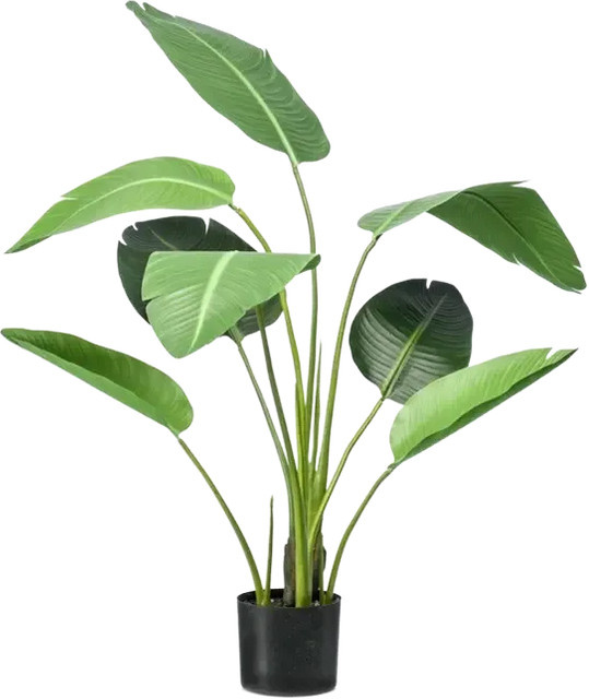 Künstliche Strelitzia Carl von Aplanta, Höhe: 120 cm - Bild 1