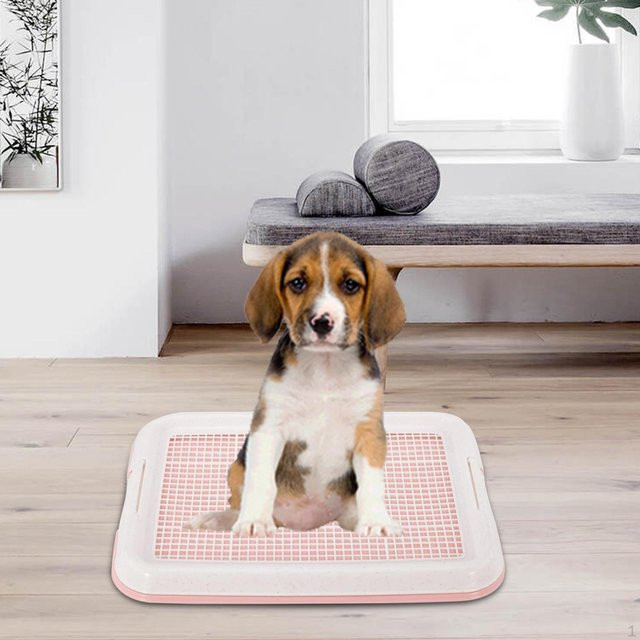 SunshineTek Hund Töpfchentraining Tablett mit abnehmbarem rutschfestem Netz, Farbe: Rosa, B: 47 cm, T: 35 cm - Bild 1