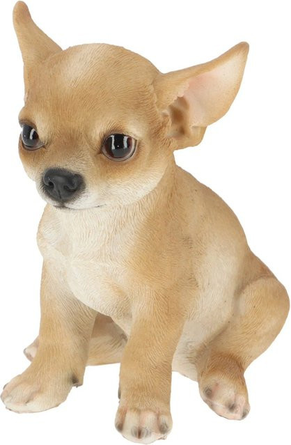 Sunny Garden Deko-Figur Hund Chihuahua aus Polystone, Höhe: 20 cm - Bild 1