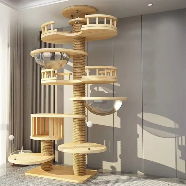 Petop Moderner Decken-Kratzbaum aus Holz mit Hängematte als luxuriöses Katzen-Klettergerüst und Spielmöbel - Bild 1