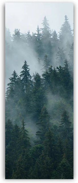 Walllux Duschrückwand Tannenwald in Holzoptik aus Alu-Verbund, Farbe: Grün, B/H: 100 x 255 cm, Stärke: 3 mm - Bild 1