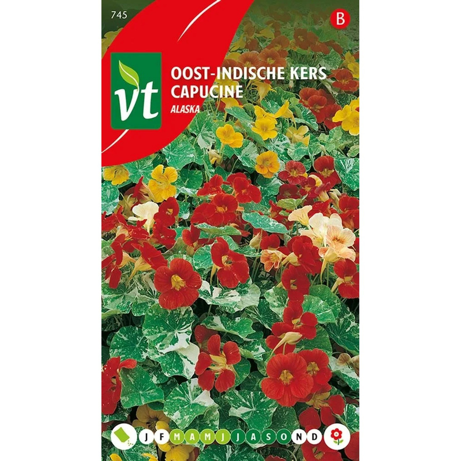 Arborix Kapuzinerkresse Alaskan Samen mit bunten Blüten, 3,5 g - Bild 2