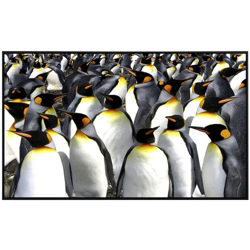 papermoon Infrarotheizung EcoHeat Pinguine mit Matt-Effekt in Bunt, App-Steuerung und Überhitzungsschutz - Bild 2