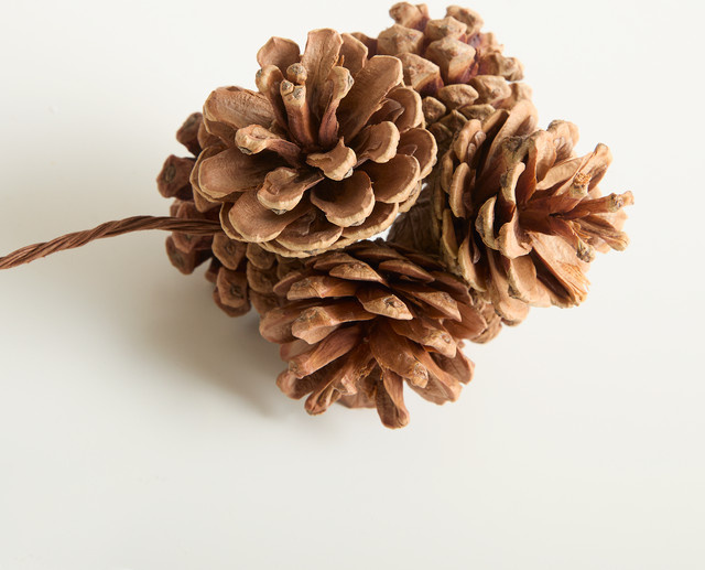 Deko Zapfenpick von BLUME2000 in Natur Braun im rustikalen Design - Bild 1