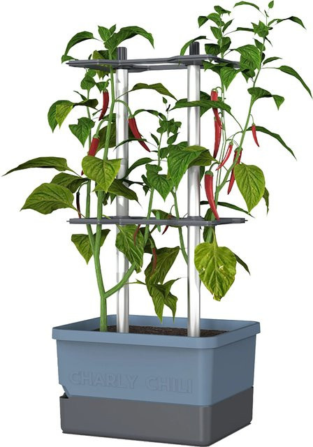 Gusta Garden Pflanztopf Charly Chili Blau mit Ranksystem für Balkon, Terrasse und Garten - Bild 1