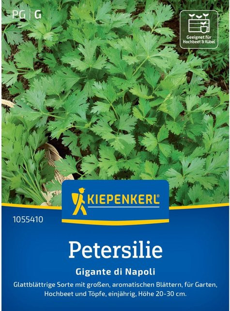 Kiepenkerl Petersilie Gigante di Napoli Saatgut - Bild 1