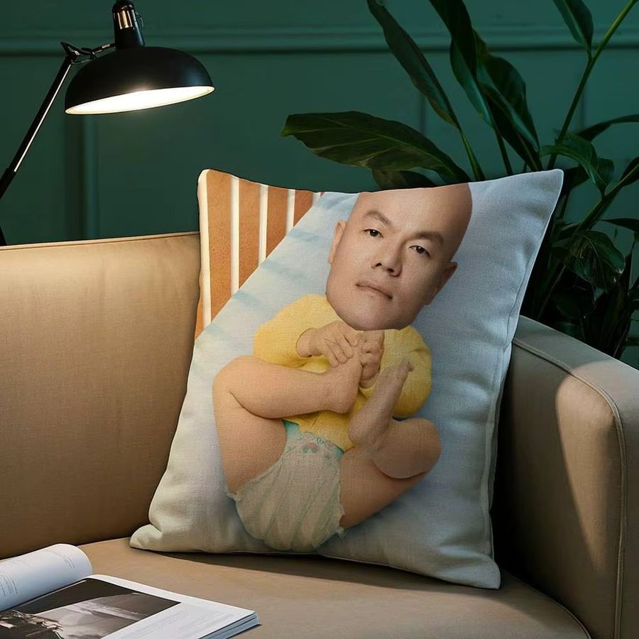 JYP Meme Luxus-Kissenbezug aus Plüsch in quadratischer Form für dein Sofa und deine Heimdekoration - Bild 2
