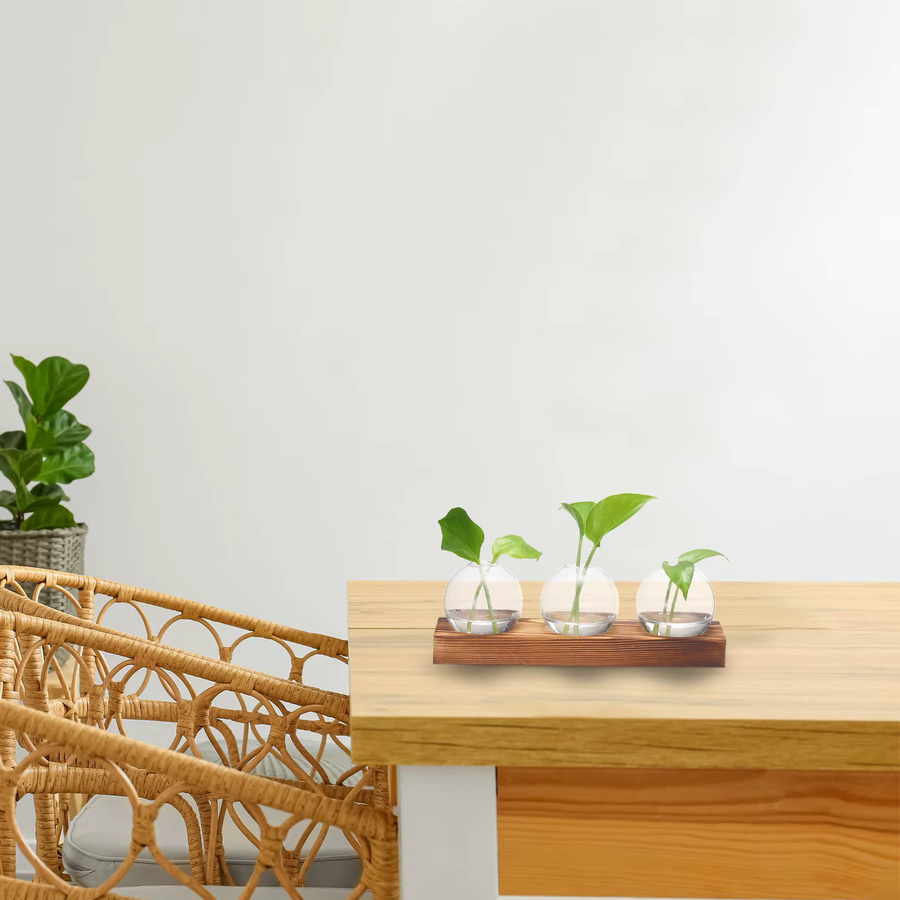 UXCELL Glasvasen mit Holztablett, Set aus 3 transparenten Blumenvasen für die Pflanzenvermehrung und Tischdekoration - Bild 4
