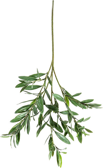 Künstlicher Olivenbaum-Zweig Gianna von Aplanta, Höhe: 68 cm - Bild 1