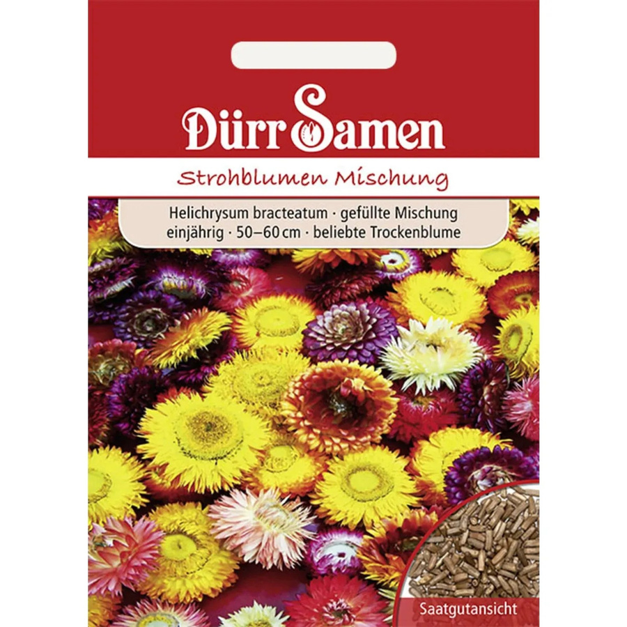 Dürr Strohblume Samen Gefüllte Mischung Einjährig 250 g - Bild 2