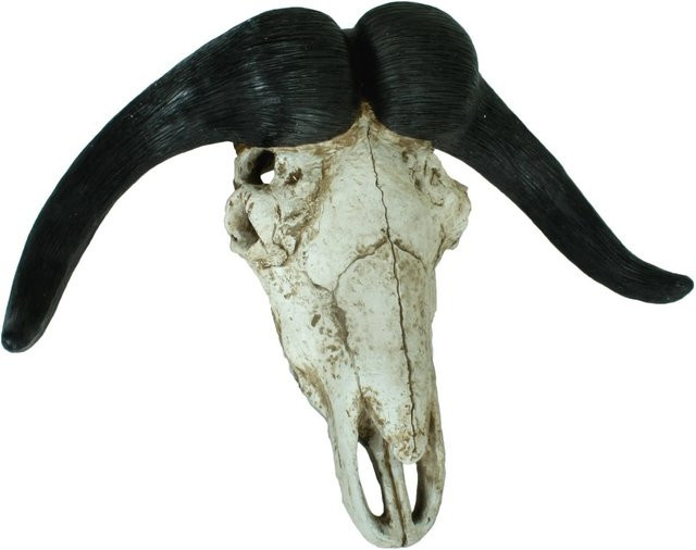 DELUKE Deko-Geweih Büffel in Braun, rustikale Tier-Dekoration aus Polyresin, B/T/H: 49 x 21 x 65,5 cm - Bild 1