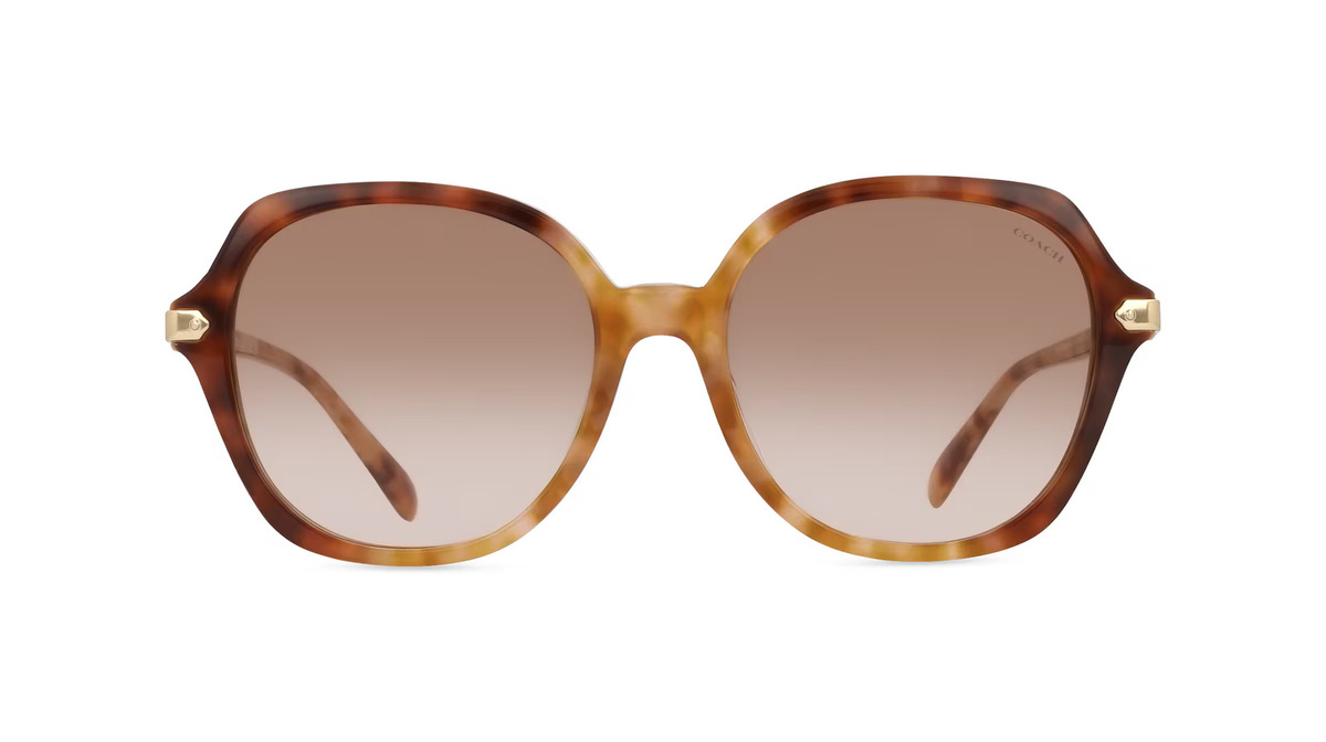 Coach HC8377U Sonnenbrille Rund, Vollrand, Acetat, braun, Damen - Bild 1