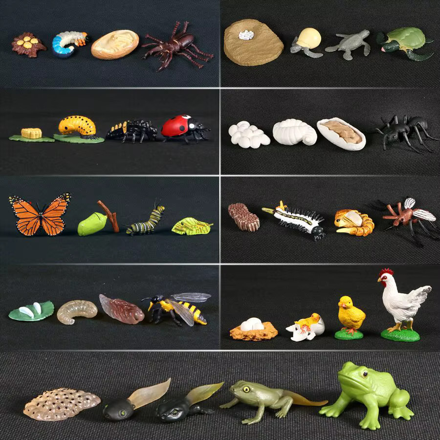 SamKaLa Prähistorische Meerestiere Figuren aus Kunststoff für Kinder mit Baculite, Opabinia, Nautilus, Trilobita und Eurypterida Miniatur-Modelle - Bild 3