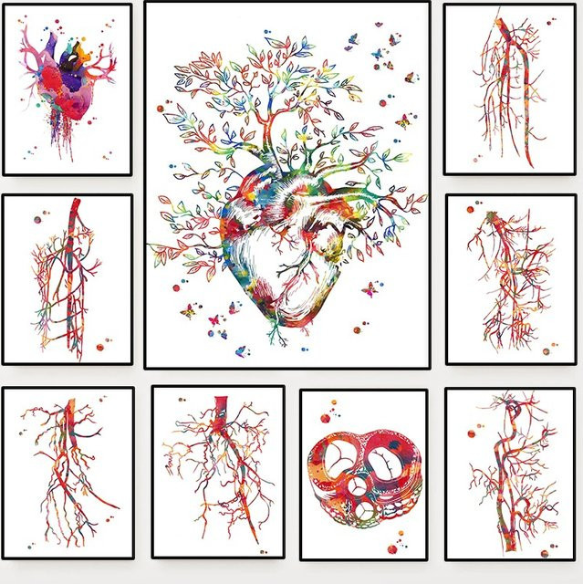 Potdemiel Wandkunst Leinwand Poster Kardiologie Gefäß Anatomie Angiogramm Multicolour - Bild 1