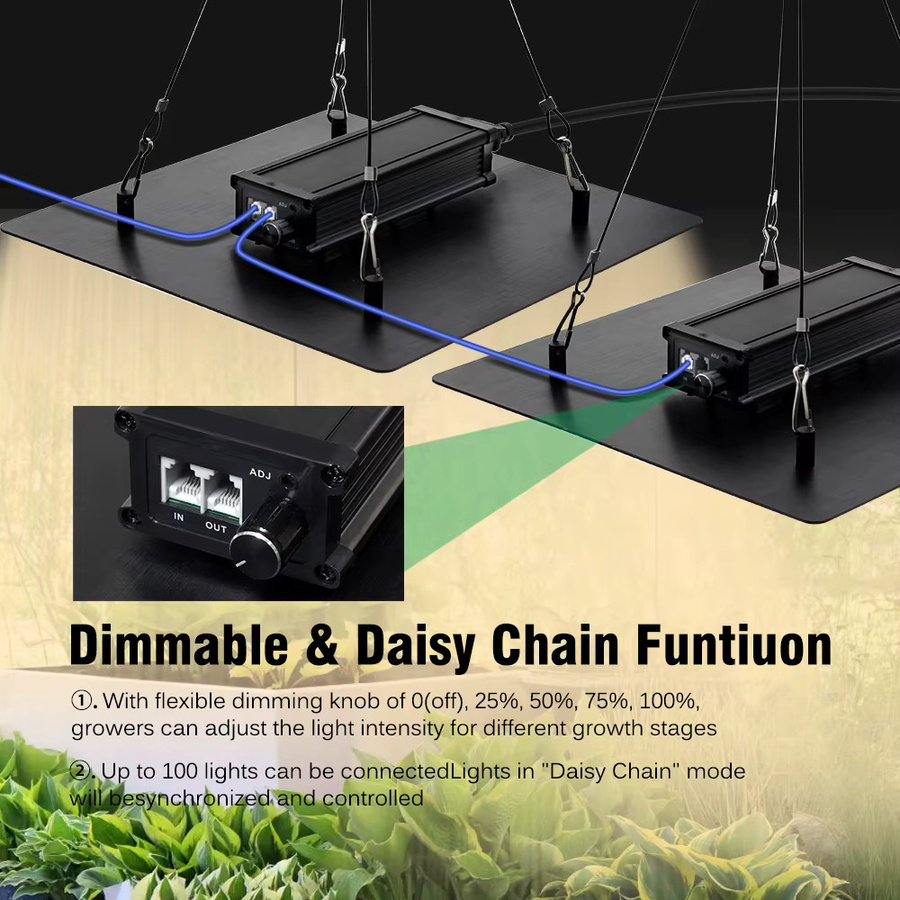 GRAXGROW LED Pflanzenlampe High Energy Vollspektrum-Wachstum, 100 W, Schwarz, dimmbar, wasserdicht, RGBWW Quantenbrett für Hydrokultur und Gewächshaus - Bild 5
