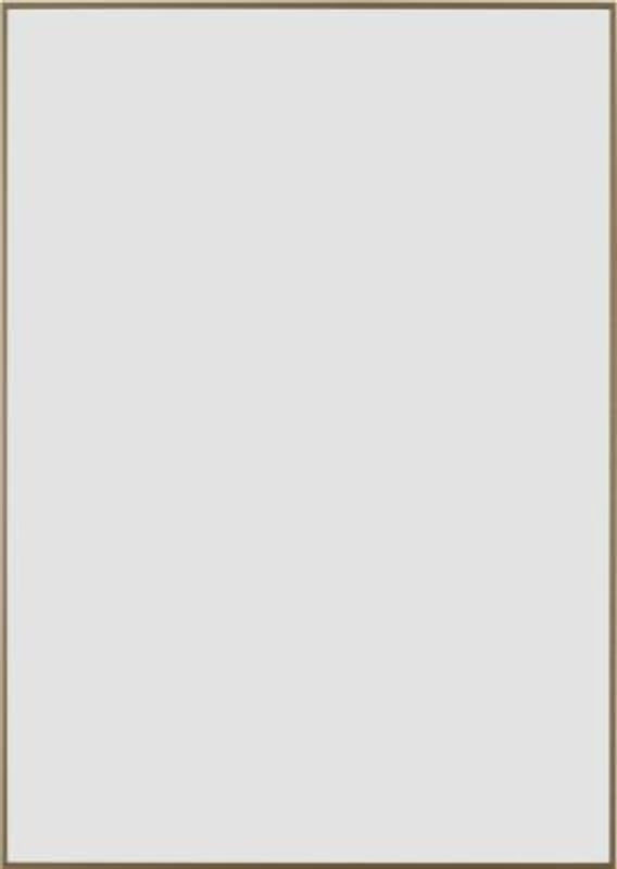 moedel Wandschild Madrid DIN A3 in Bronze mit Aluminiumrahmen und Polyester-Abdeckung, B: 29,95 cm x H: 42,25 cm - Bild 1