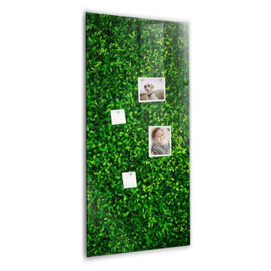Tulup Glasmagnettafel Blätter Der Zaunpflanze, Weiß und Grün, B/H: 120 x 60 cm - Bild 2