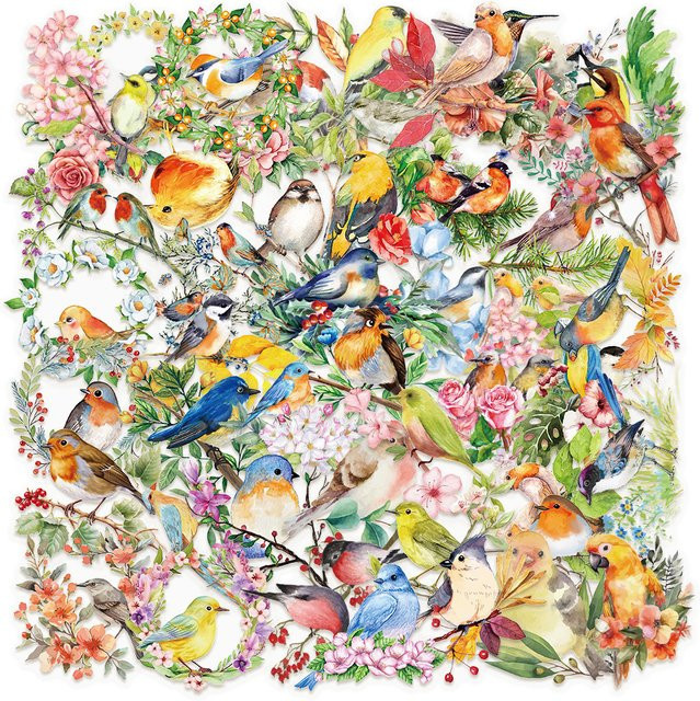 50 Stück transparente Aquarell-Vogel-Aufkleber aus wasserfestem PET für Scrapbooking und Dekoration, Mehrfarbig - Bild 1