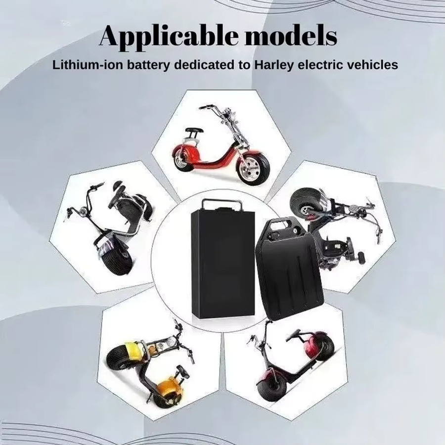 Lithium-Batterie für Elektrofahrzeuge und Citycoco Elektroroller, 60V, Schwarz - Bild 6