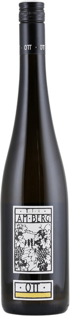 Bernhard Ott Grüner Veltliner am Berg, 2025, trocken, Weißwein, 0,75 l - Bild 1