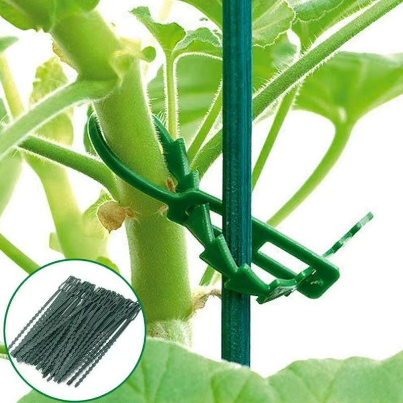 50 Stück wiederverwendbare Kunststoff-Pflanzenkabelbinder zur Unterstützung von Gartenpflanzen, Reben und Tomatenstielen - Bild 2