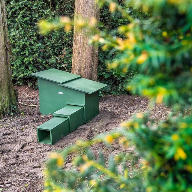 Igelhaus Deluxe XXL von CJ Wildlife in Grün - Bild 1